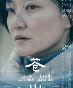 苍山 (2023)