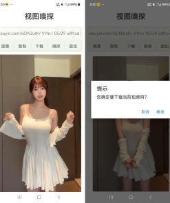 视图嗅探（视频图片去水印下载）