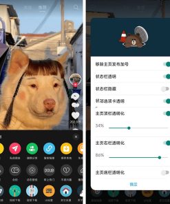 逗音小能手抖音去广告增强模块v1.9.7.0