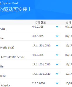 驱动总裁(DrvCeo) - 2.18网卡单文件版免扫码