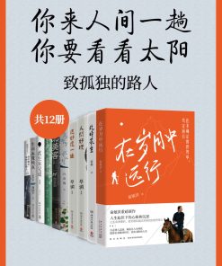 你来人间一趟，你要看看太阳：致孤独的路人（共12册）