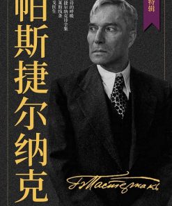 帕斯捷尔纳克作品集（套装共4册）