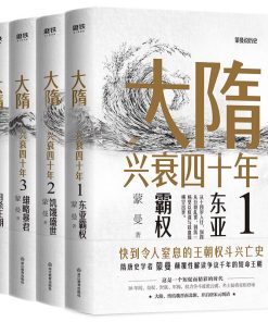 大隋兴衰四十年（全4册）