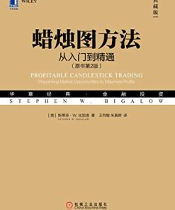 蜡烛图方法（原书第2版）