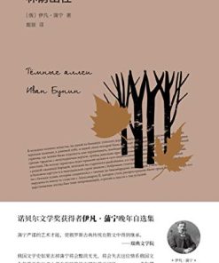 林荫幽径