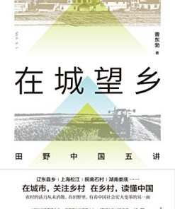 在城望乡