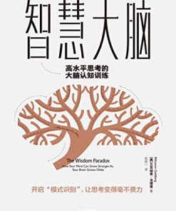 智慧大脑