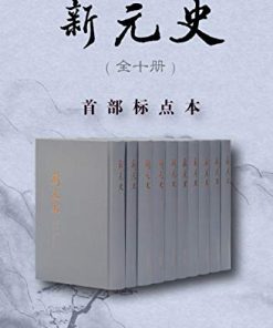 新元史（全十册）