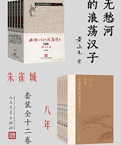 无愁河的浪荡汉子：朱雀城·八年（全12卷）