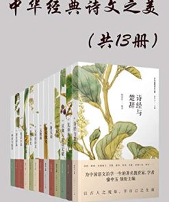 中华经典诗文之美（共13册）