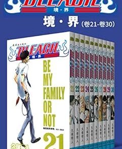 境·界BLEACH死神（第3部：卷21~卷30）
