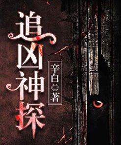 追凶神探