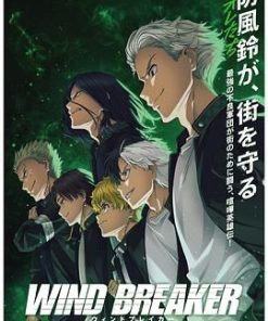 防风少年 WIND BREAKER (2024)