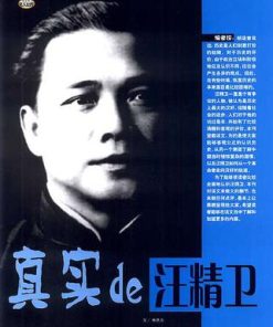 真实的汪精卫