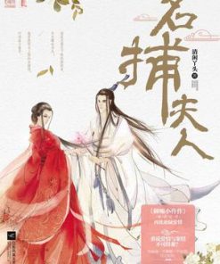 名捕夫人