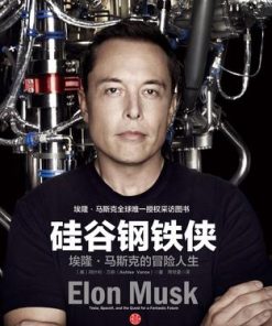 硅谷钢铁侠