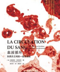 血液循环