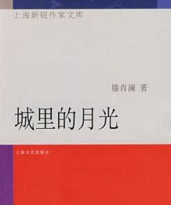 城里的月光
