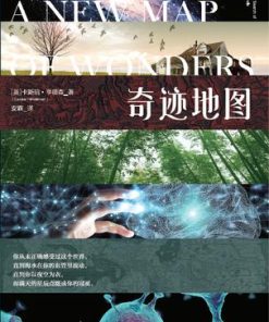 奇迹地图