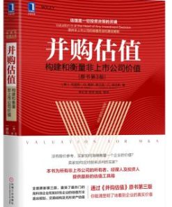 并购估值：构建和衡量非上市公司价值（原书第3版）