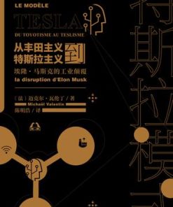 特斯拉模式