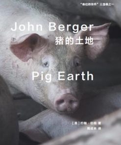 猪的土地