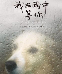 我在雨中等你