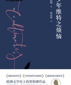 少年维特之烦恼（果麦经典）