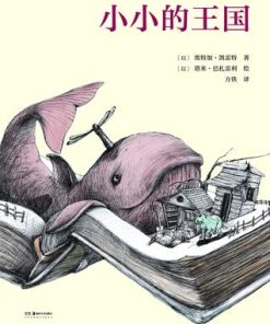 小小的王国