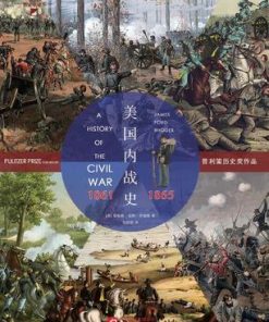 美国内战史：1861-1865