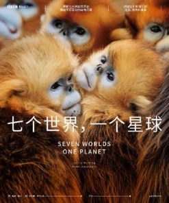 七个世界，一个星球