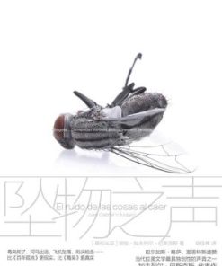坠物之声