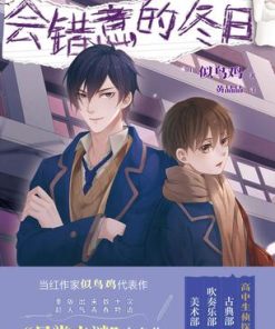 会错意的冬日