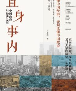 置身事内