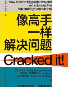 像高手一样解决问题