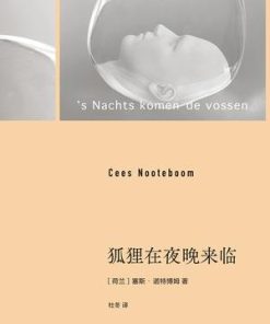狐狸在夜晚来临