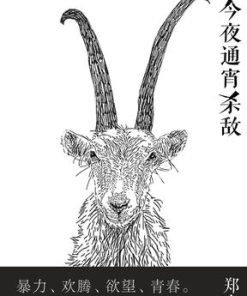 今夜通宵杀敌