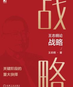 王志纲论战略
