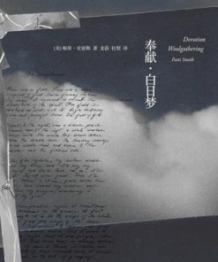 奉献·白日梦
