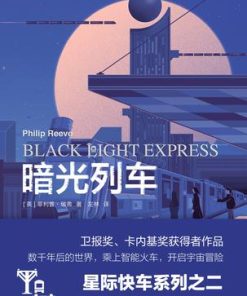 暗光列车