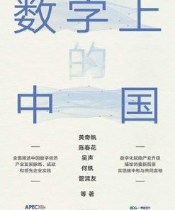 数字上的中国