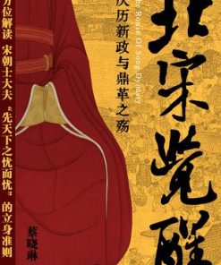 北宋觉醒