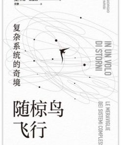 随椋鸟飞行