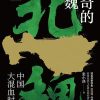 神奇的北魏