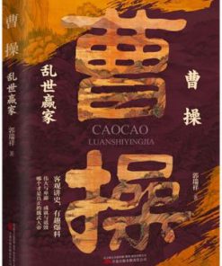 曹操：乱世赢家