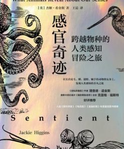 感官奇迹
