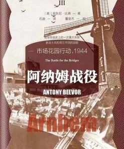 阿纳姆战役