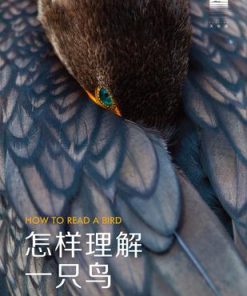 怎样理解一只鸟