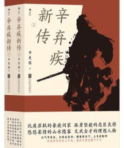 辛弃疾新传（共二册）