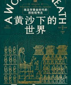 黄沙下的世界